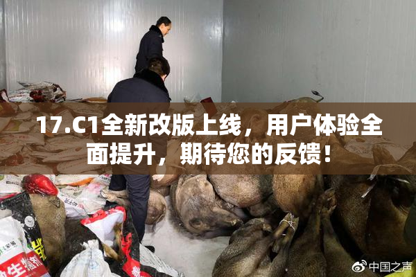 17.C1全新改版上线，用户体验全面提升，期待您的反馈！