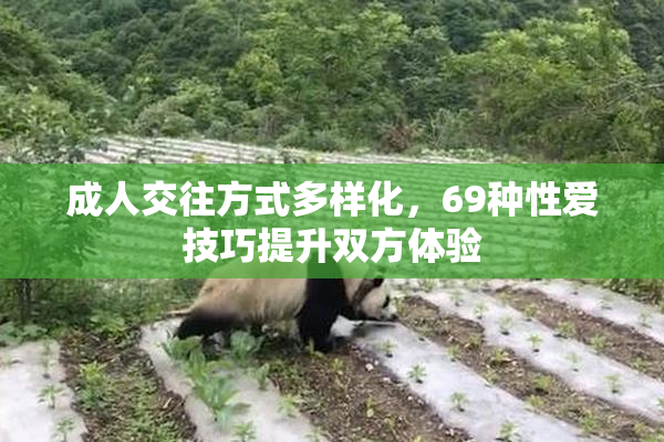 成人交往方式多样化，69种性爱技巧提升双方体验