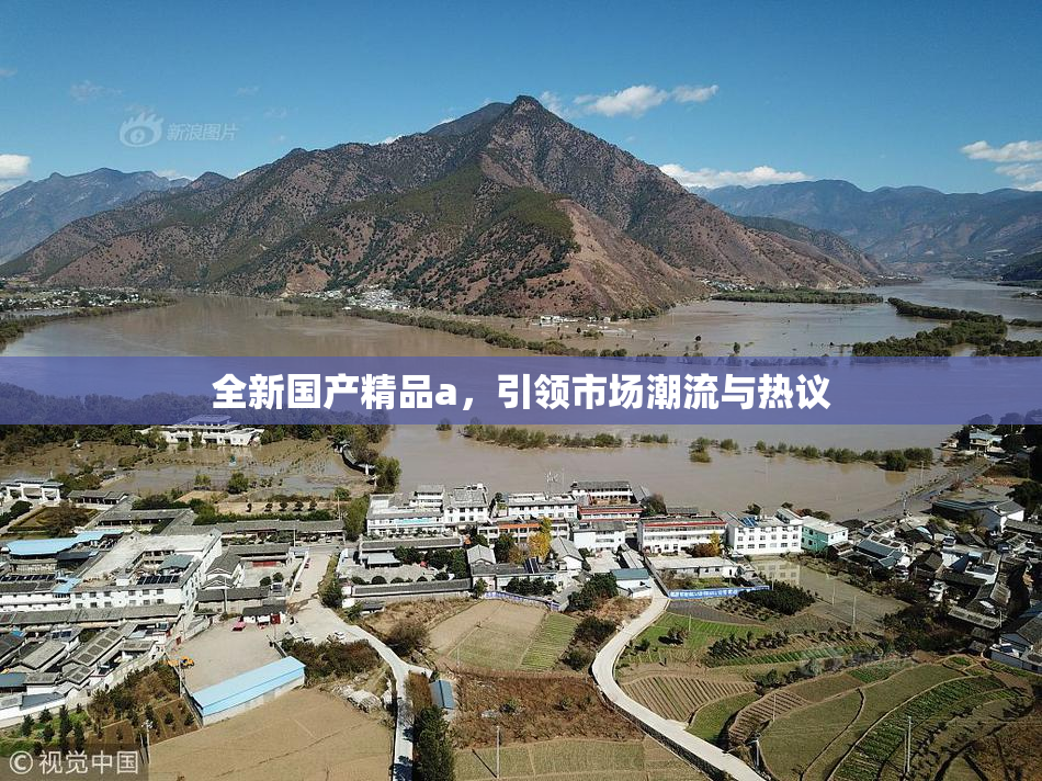 全新国产精品a，引领市场潮流与热议
