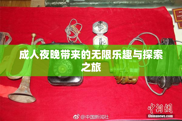 成人夜晚带来的无限乐趣与探索之旅