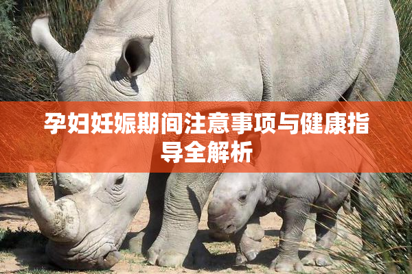 孕妇妊娠期间注意事项与健康指导全解析