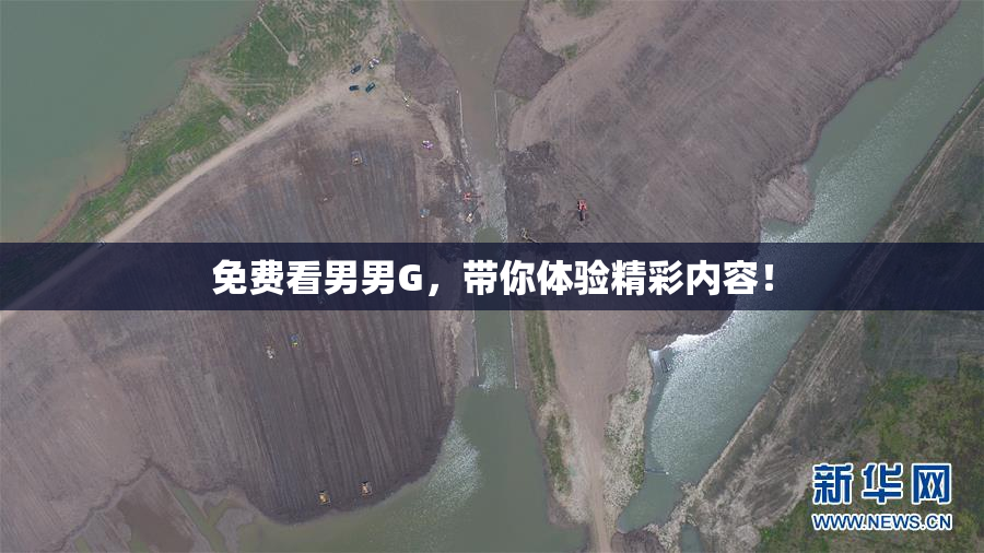 免费看男男G，带你体验精彩内容！