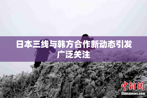 日本三线与韩方合作新动态引发广泛关注