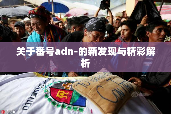关于番号adn-的新发现与精彩解析