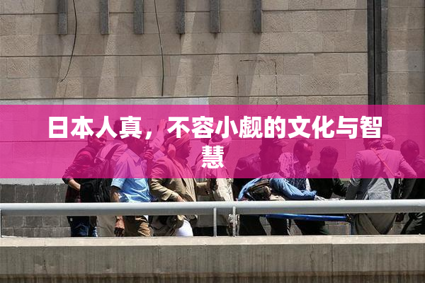 日本人真，不容小觑的文化与智慧