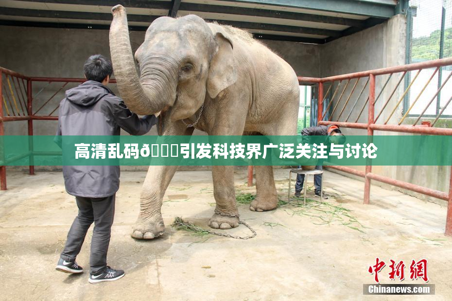 高清乱码🔞引发科技界广泛关注与讨论