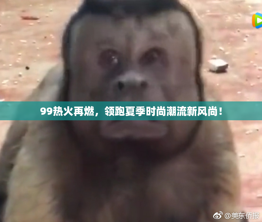 99热火再燃，领跑夏季时尚潮流新风尚！