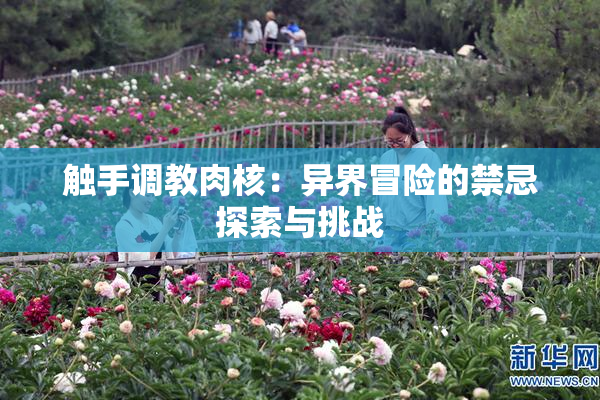 触手调教肉核：异界冒险的禁忌探索与挑战
