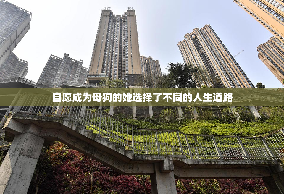 自愿成为母狗的她选择了不同的人生道路