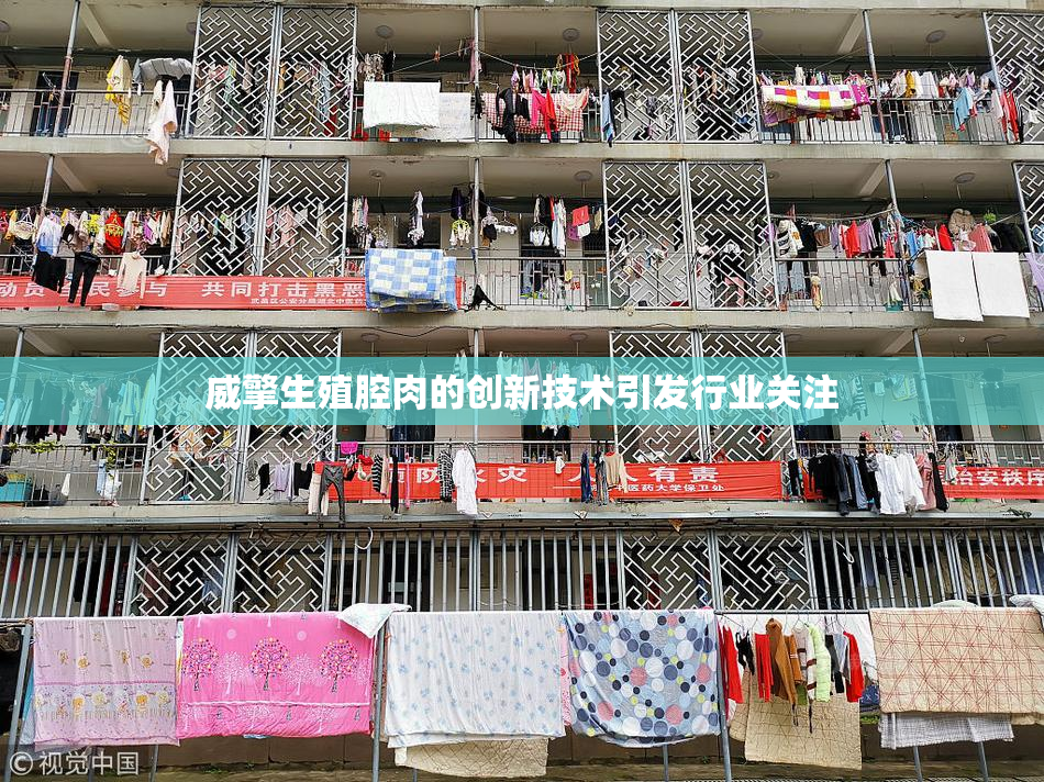 威擎生殖腔肉的创新技术引发行业关注