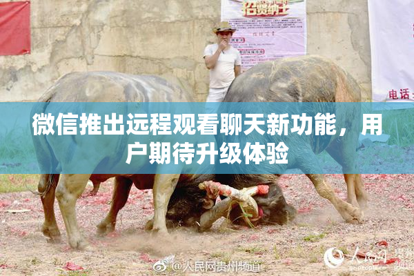 微信推出远程观看聊天新功能，用户期待升级体验