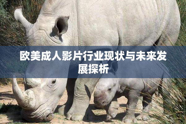 欧美成人影片行业现状与未来发展探析