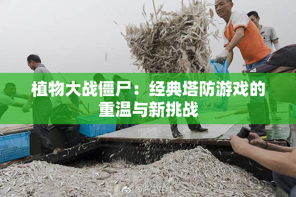 植物大战僵尸：经典塔防游戏的重温与新挑战