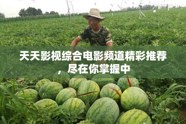 天天影视综合电影频道精彩推荐，尽在你掌握中