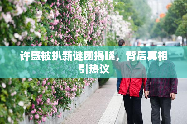 许盛被扒新谜团揭晓，背后真相引热议