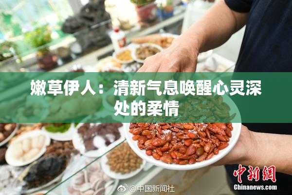 嫩草伊人：清新气息唤醒心灵深处的柔情