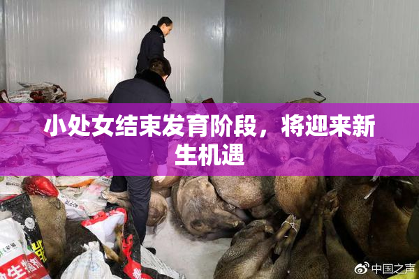 小处女结束发育阶段，将迎来新生机遇