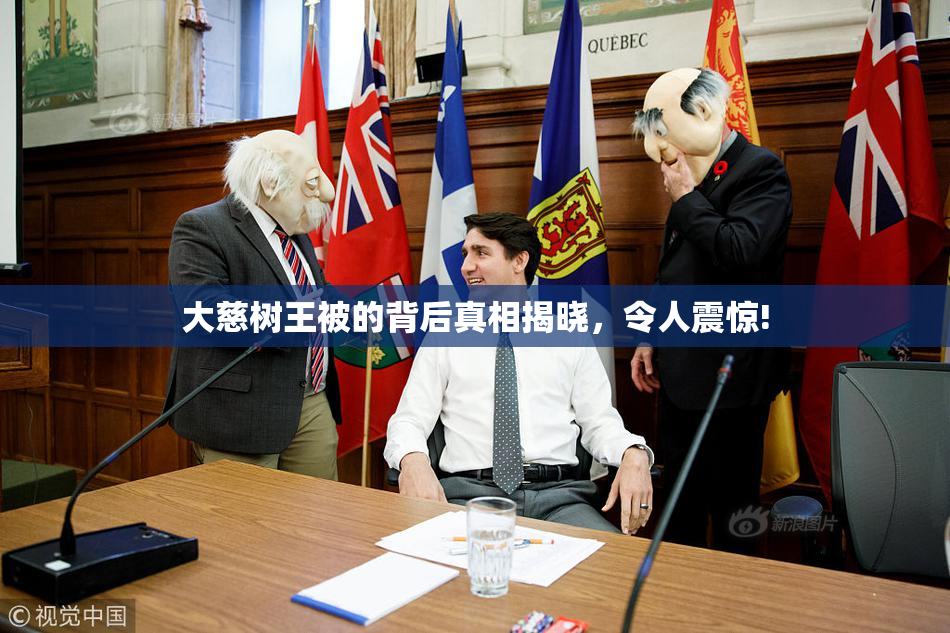 大慈树王被的背后真相揭晓，令人震惊!