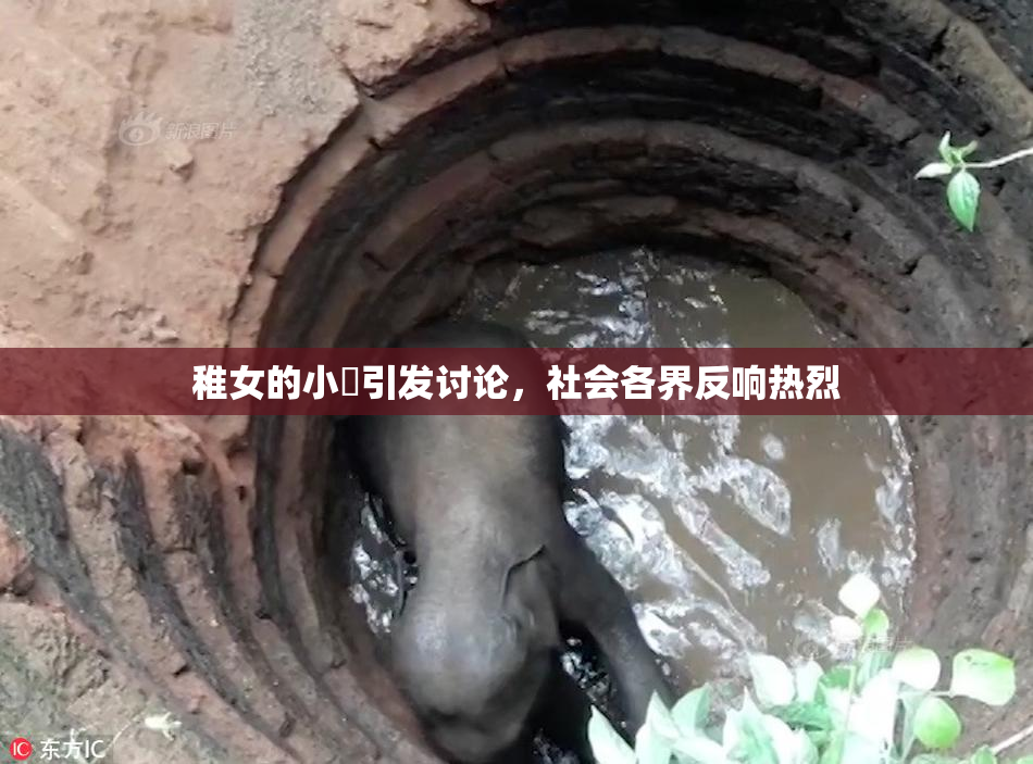 稚女的小泬引发讨论，社会各界反响热烈