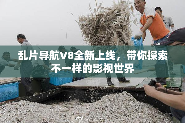 乱片导航V8全新上线，带你探索不一样的影视世界