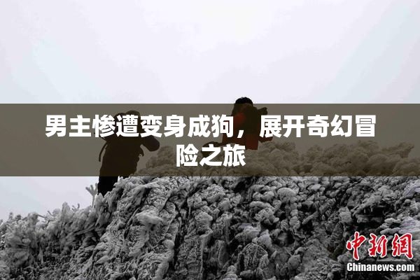 男主惨遭变身成狗，展开奇幻冒险之旅