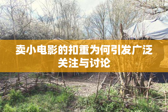 卖小电影的扣重为何引发广泛关注与讨论