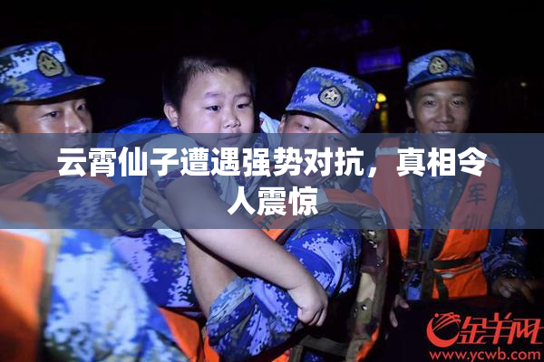 云霄仙子遭遇强势对抗，真相令人震惊