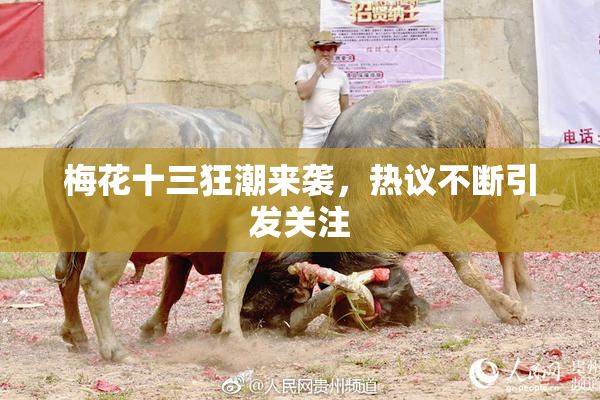 梅花十三狂潮来袭，热议不断引发关注