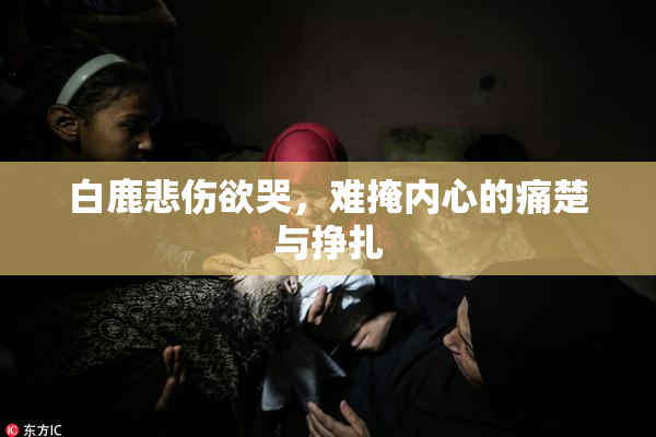 白鹿悲伤欲哭，难掩内心的痛楚与挣扎