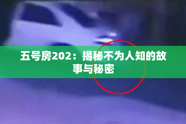 五号房202：揭秘不为人知的故事与秘密