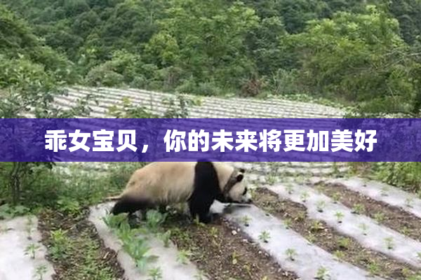 乖女宝贝，你的未来将更加美好