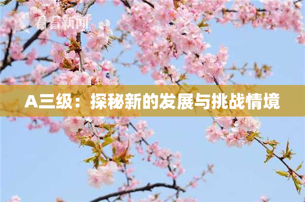 A三级：探秘新的发展与挑战情境