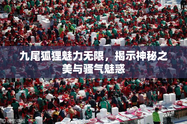 九尾狐狸魅力无限，揭示神秘之美与骚气魅惑