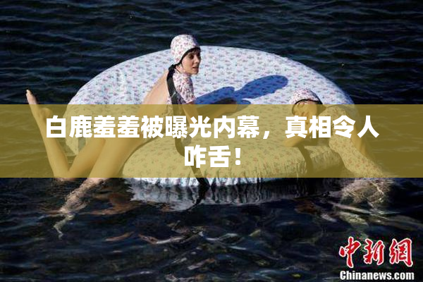 白鹿羞羞被曝光内幕，真相令人咋舌！