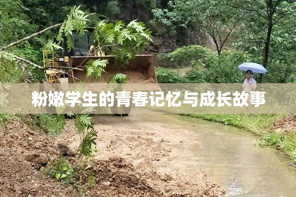 粉嫩学生的青春记忆与成长故事