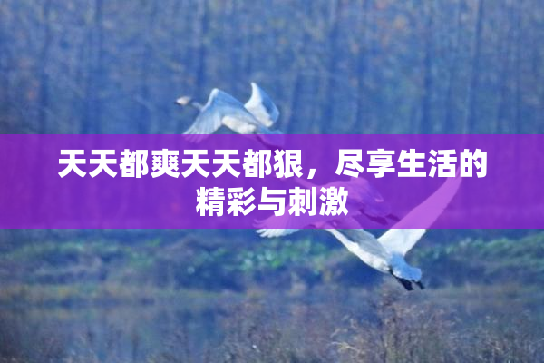 天天都爽天天都狠，尽享生活的精彩与刺激