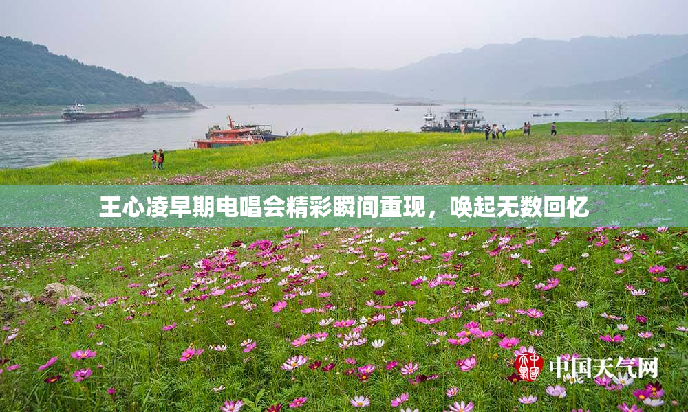 王心凌早期电唱会精彩瞬间重现，唤起无数回忆