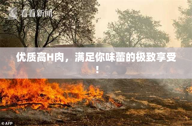 优质高H肉，满足你味蕾的极致享受！
