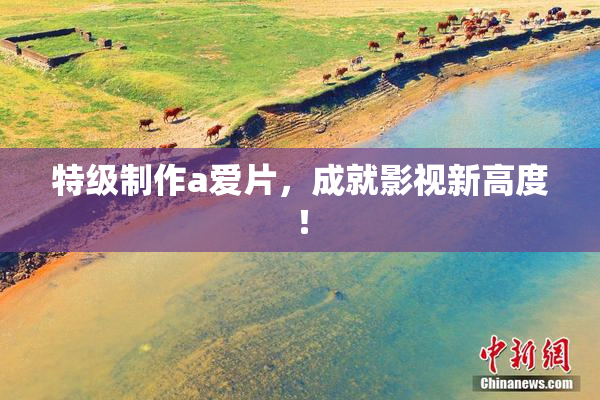 特级制作a爱片，成就影视新高度！