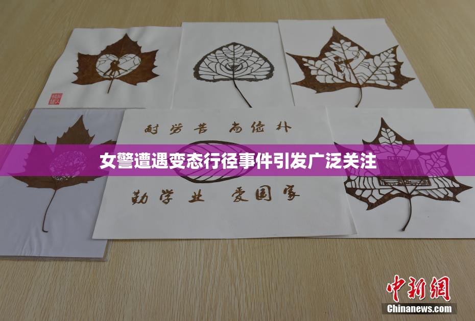 女警遭遇变态行径事件引发广泛关注