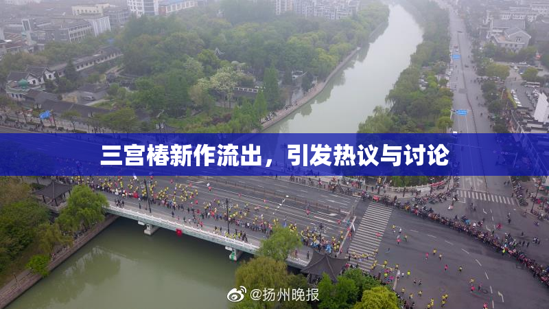 三宫椿新作流出，引发热议与讨论