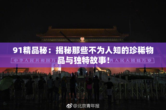 91精品秘：揭秘那些不为人知的珍稀物品与独特故事！