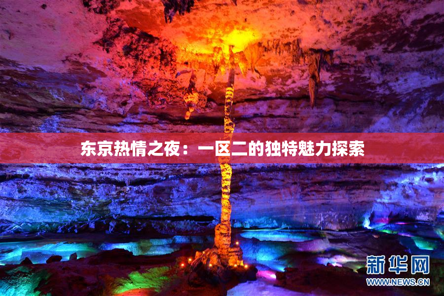 东京热情之夜：一区二的独特魅力探索