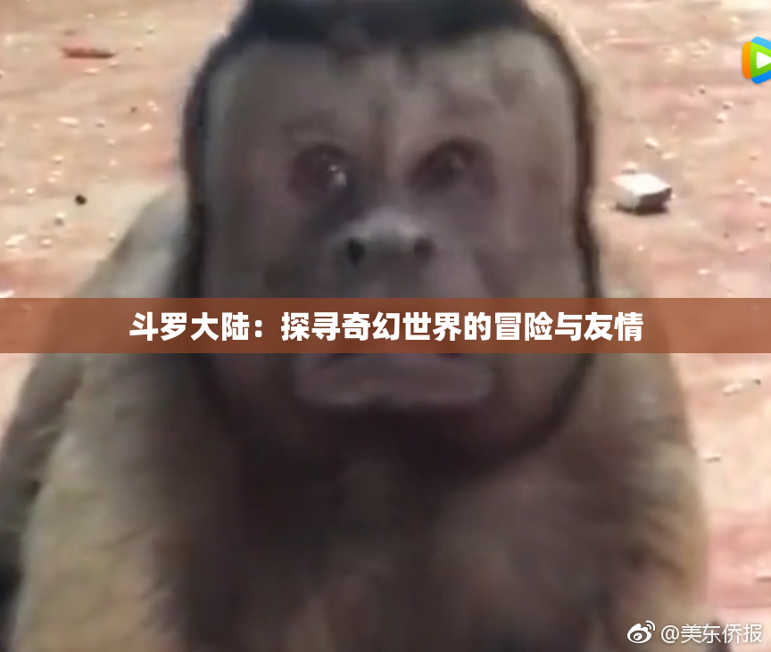 斗罗大陆：探寻奇幻世界的冒险与友情