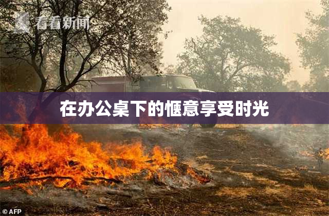 在办公桌下的惬意享受时光