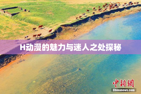 H动漫的魅力与迷人之处探秘