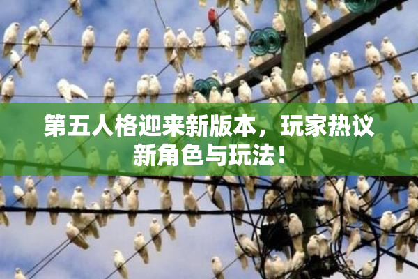 第五人格迎来新版本，玩家热议新角色与玩法！