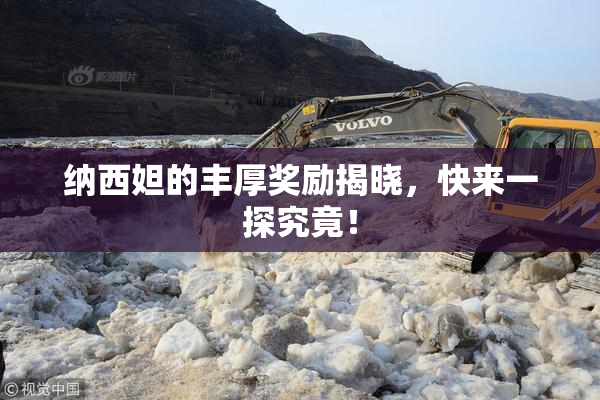纳西妲的丰厚奖励揭晓，快来一探究竟！