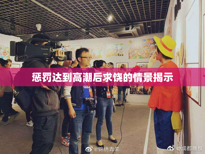 惩罚达到高潮后求饶的情景揭示