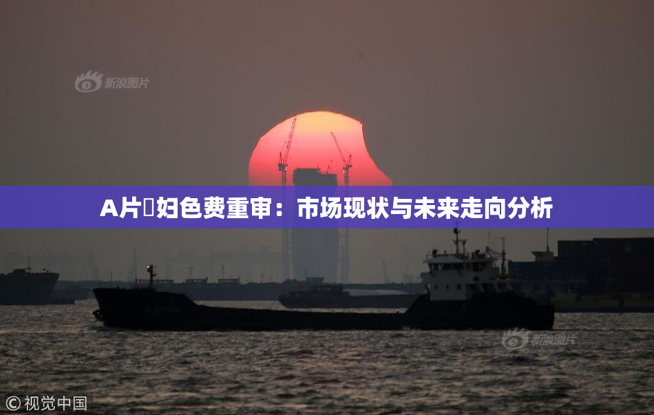 A片婬妇色费重审：市场现状与未来走向分析